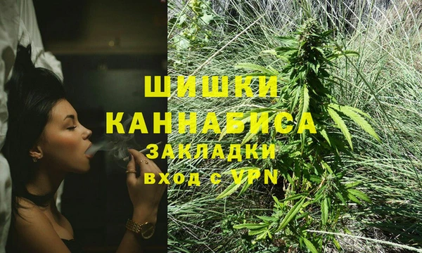 прущие крисы Зеленокумск