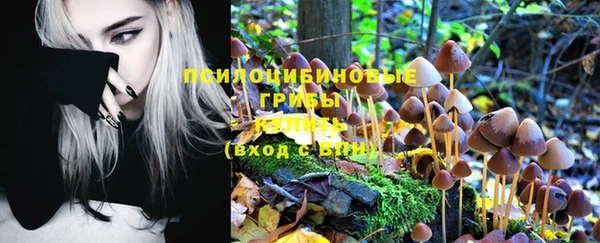 мдпв Зеленодольск
