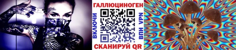 Купить закладки  Каменногорск  Галлюциногенные грибы Magic Shrooms 