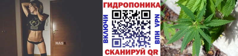 Купить  Каменногорск  МАРИХУАНА сатива 